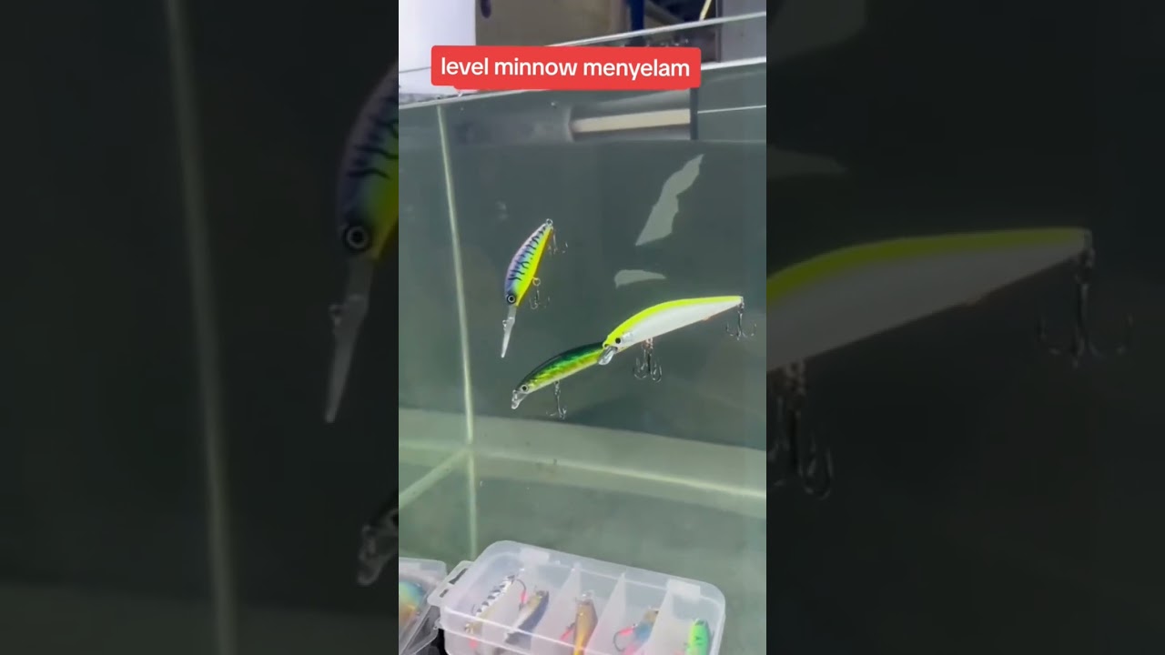 Level Minnow Menyelam