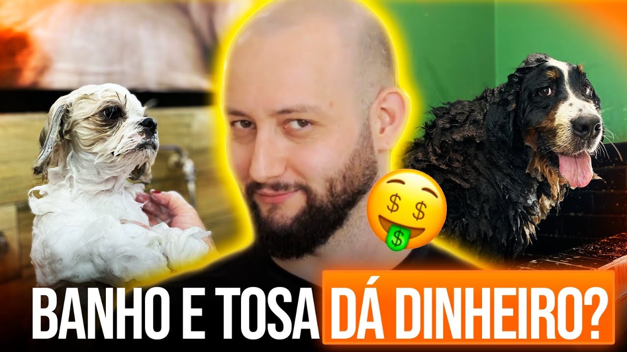 Banho e tosa dá dinheiro? Quanto ganha um tosador? - Junior Borja