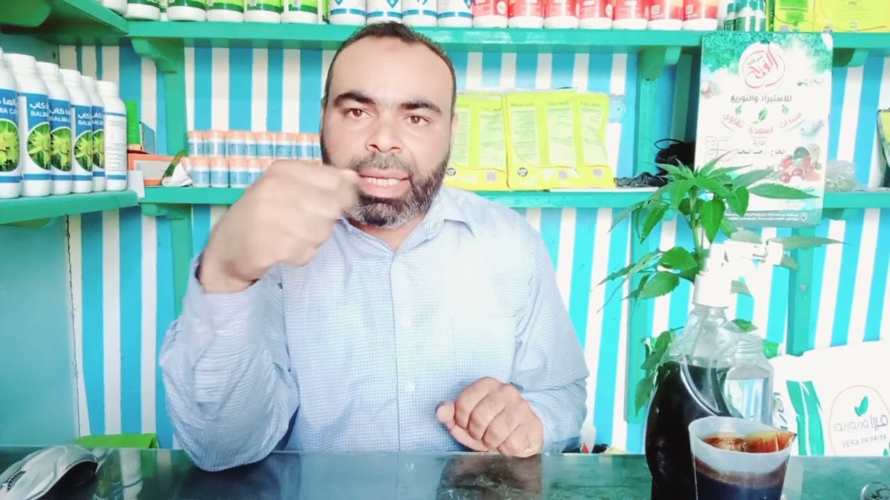 اهمية اضافة الاحماض الامينية مع العناصر الغذائية للنبات
