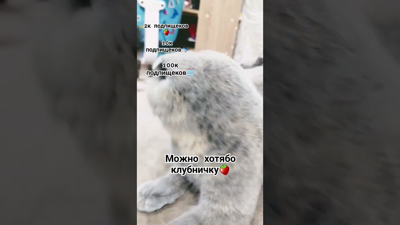 26 июля 2024 г.
