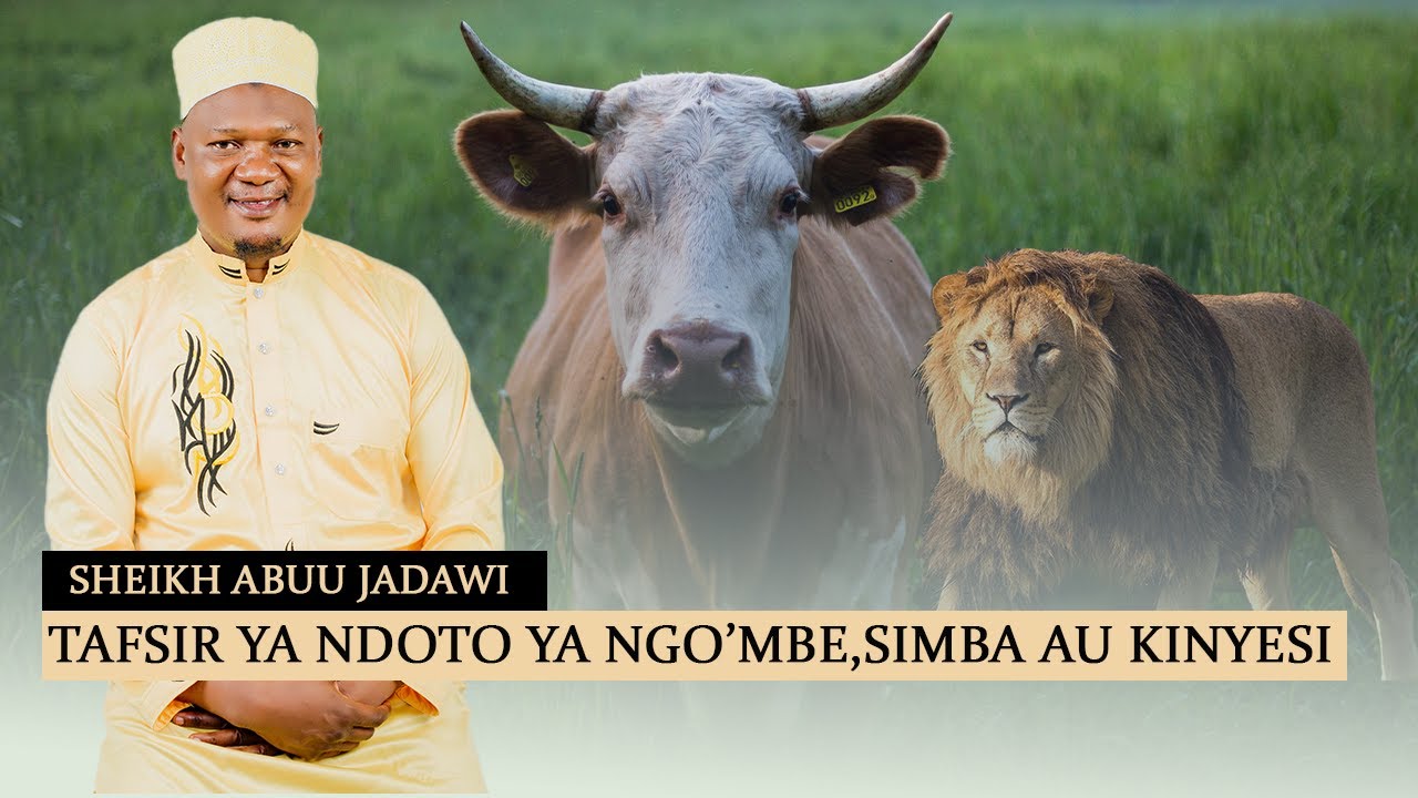 TAFSIR YA KUOTA NDOTO YA NG'OMBE,SIMBA AU KINYESI