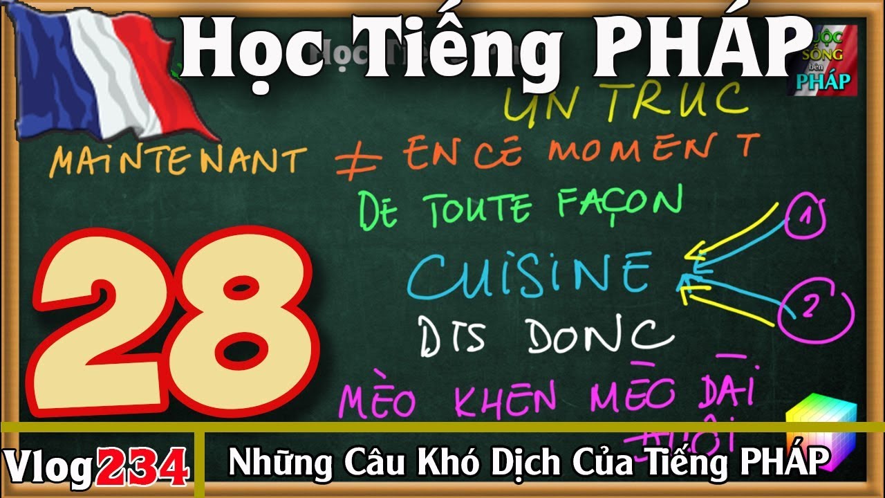 Học Tiếng Pháp # 28 : GIẢI THÍCH những câu RẤT khó dịch của tiếng Pháp bạn cần phải biết (2) - 234