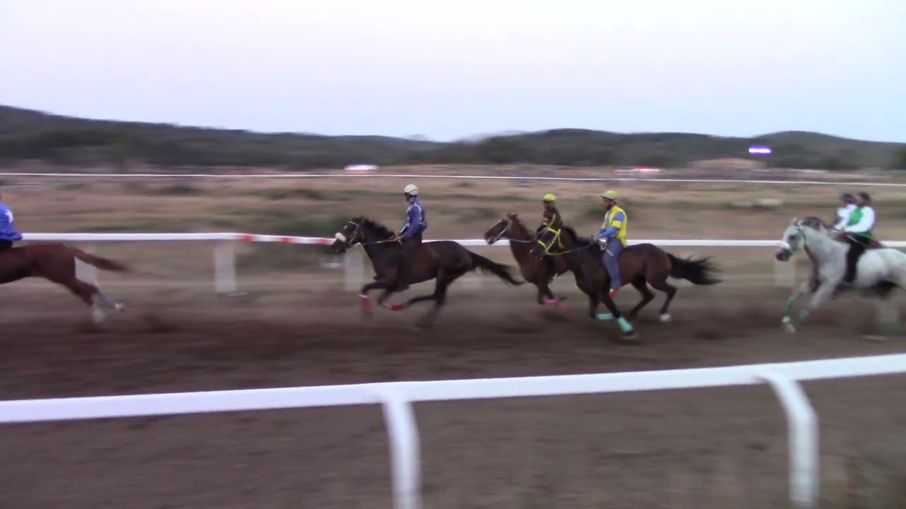 finale palio orgosolo angloarabo 17.08.2023 vincitore giuseppe picinnu