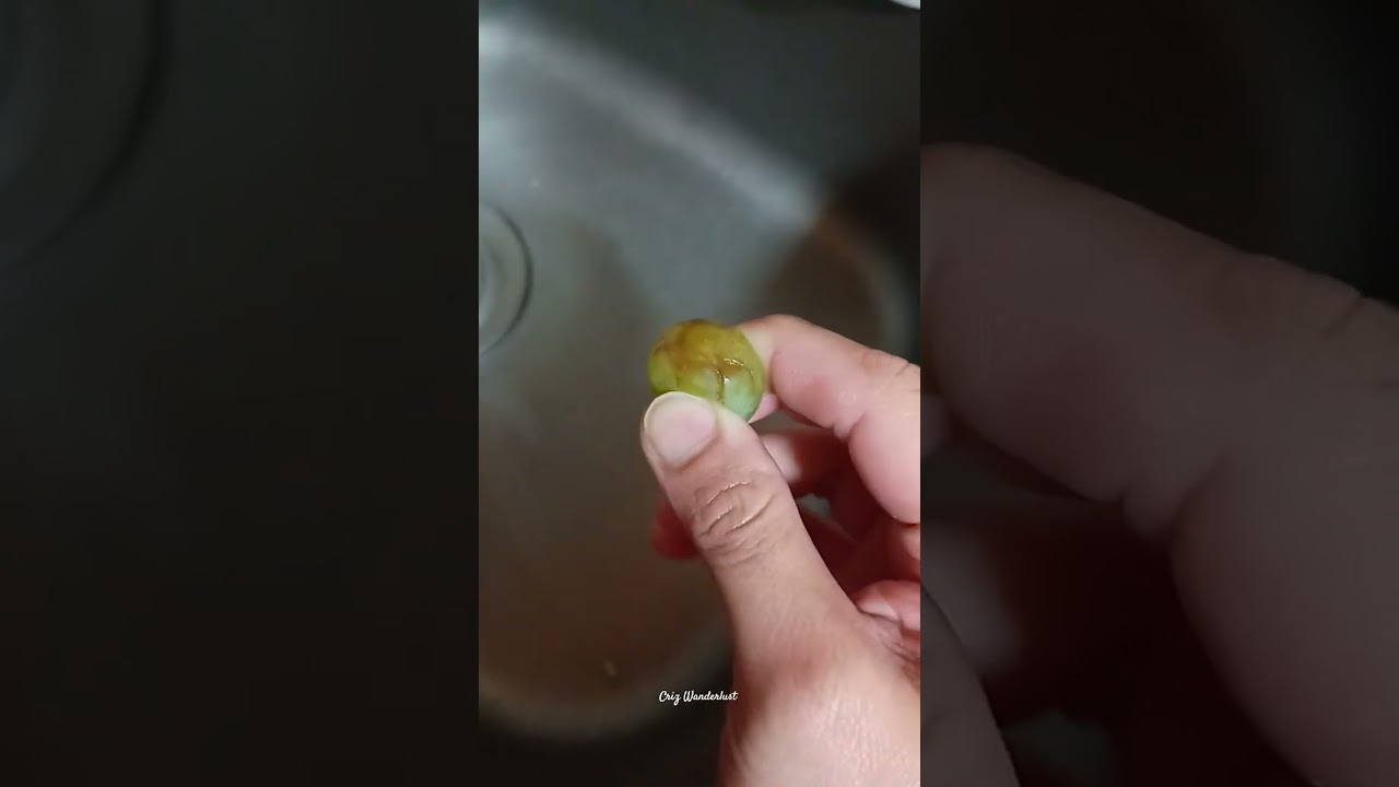 squishy rotten grape #shorts #grapes #asmr #squishing #satisfyingvideo #fruit #viral #crizwanderlust