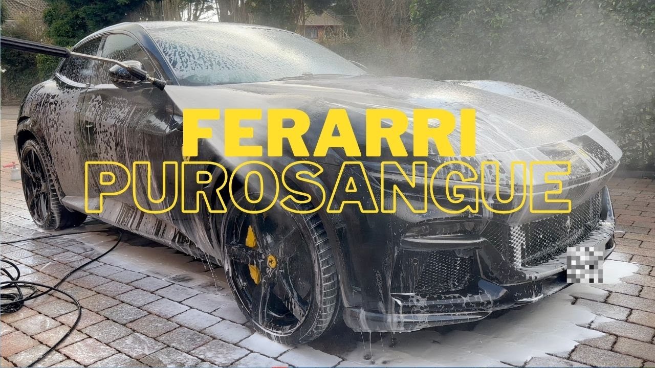 DETAILING A FERARRI PUROSANGUE!