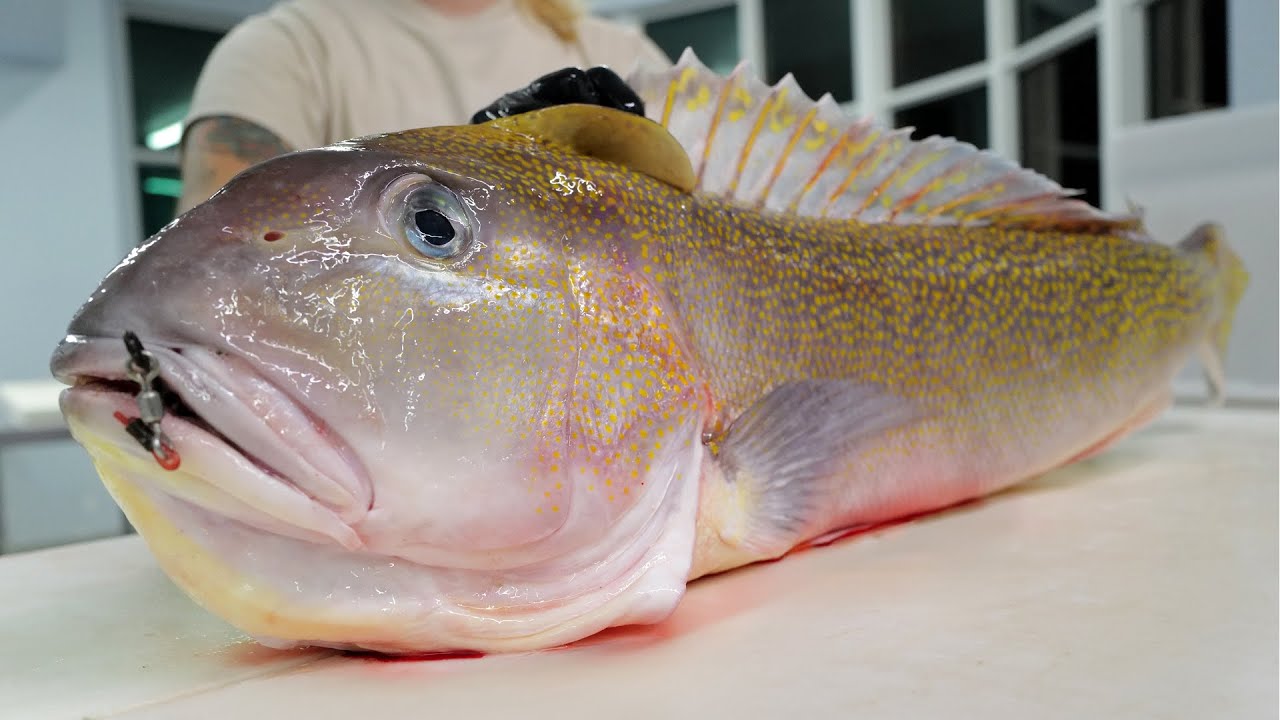 Одна из моих самых любимых рыб