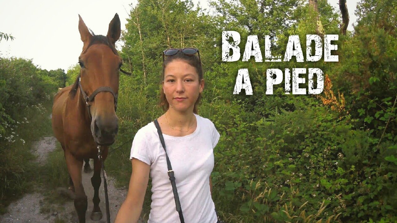 PREMIERE BALADE A PIED AVEC MON CHEVAL [Unistoire]