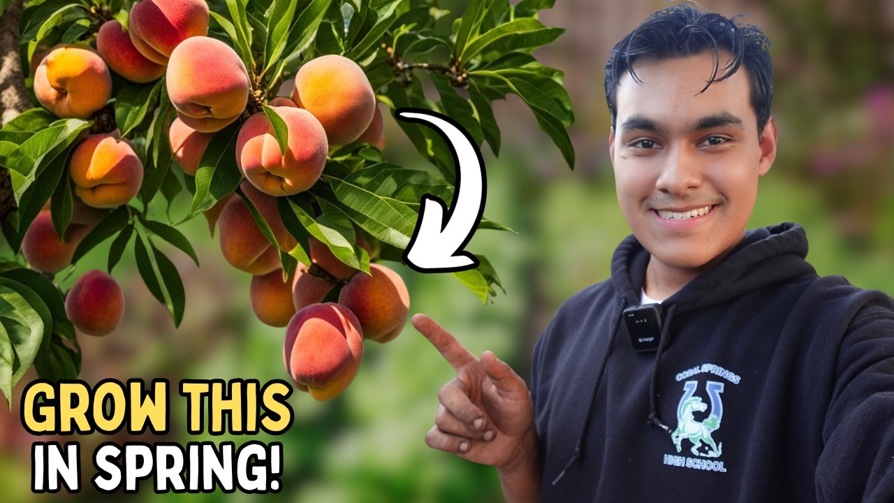6 плодовых растений, которые ОБЯЗАТЕЛЬНО нужно выращивать весной! 🍑🌿 S:4, Ep.15 // The Ultimate G...