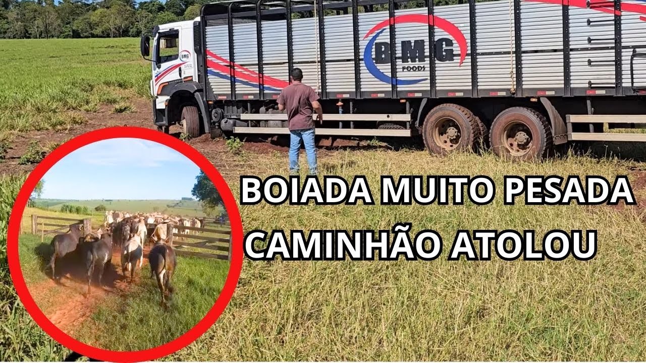 CENAS FORTES! BOI FURIOSO ATACA E PEÃO SAI CATANDO CAVACO - PARTE 2
