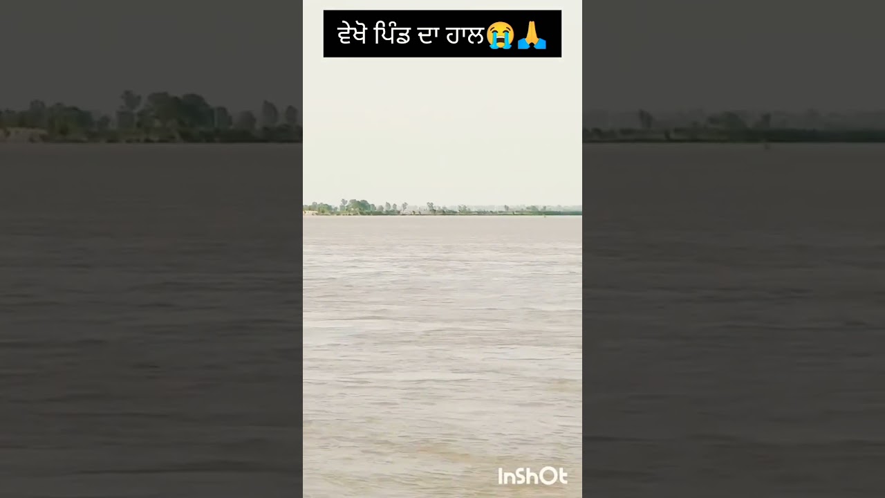 ਪਿੰਡ ਘੜਕਣਾ 'ਚ ਹੜ੍ਹ ਦਾ ਮਾਹੌਲ 💔 | 13 June 2026 | Punjabi Village Flood #shorts