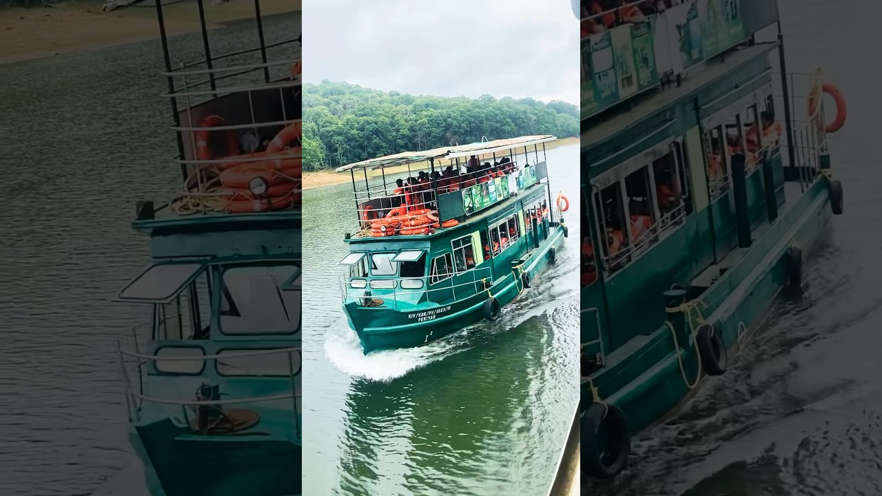 Thekkady Boating #thekkady #periyar #boating #ytshort
