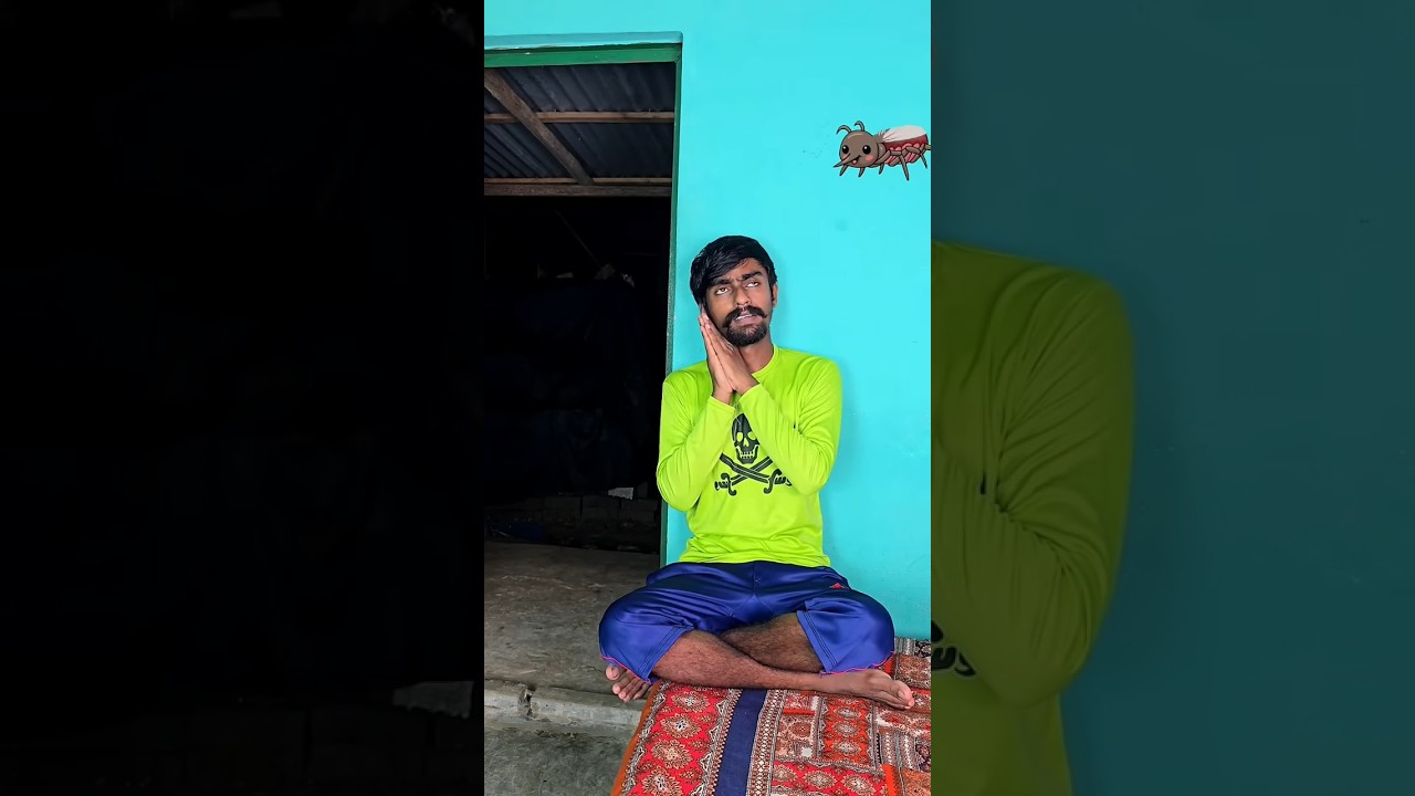 Mosquito Won&rsquo;t Let Little Brother Sleep! 😂🦟😱