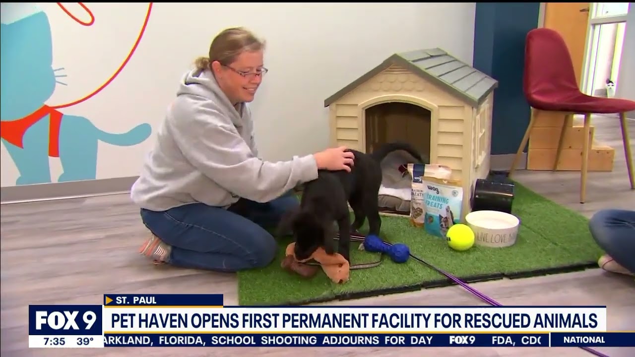 Fox 9 News ft. Pet Haven- 7am