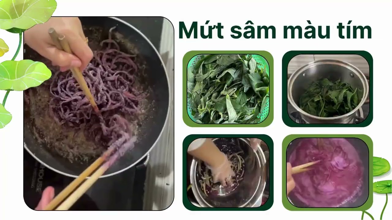 Truy xuất nguồn gốc và quy trình SX Mứt sâm dây ngũ sắc