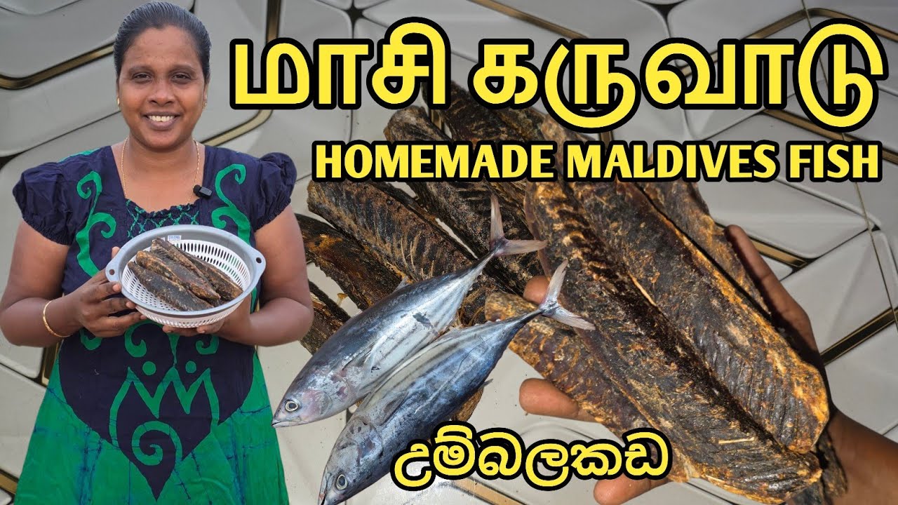 மாசி கருவாடு செய்யலாம் | Homemade Maldives Fish | Jaffna | Cooking | Sobas House