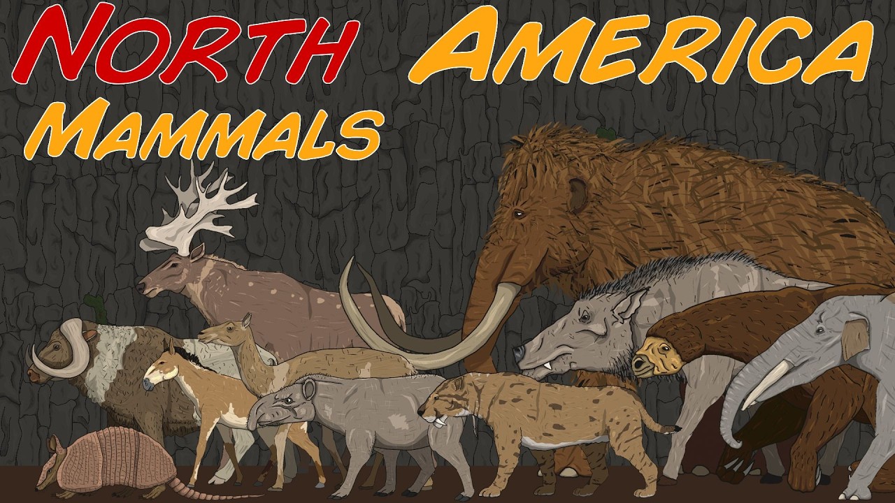 Random Extinct Animals Size Comparison - North America Mammals