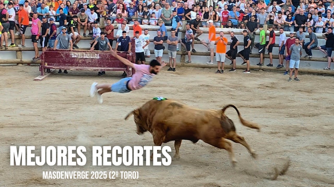 🔥MOMENTOS &Eacute;PICOS TORRO CERRIL #2🔥 | Masdenverge (Tarragona) | PE&Ntilde;A CHE BOU | 30/07/2025 | 4K