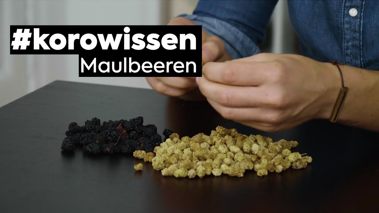 #korowissen | Maulbeeren