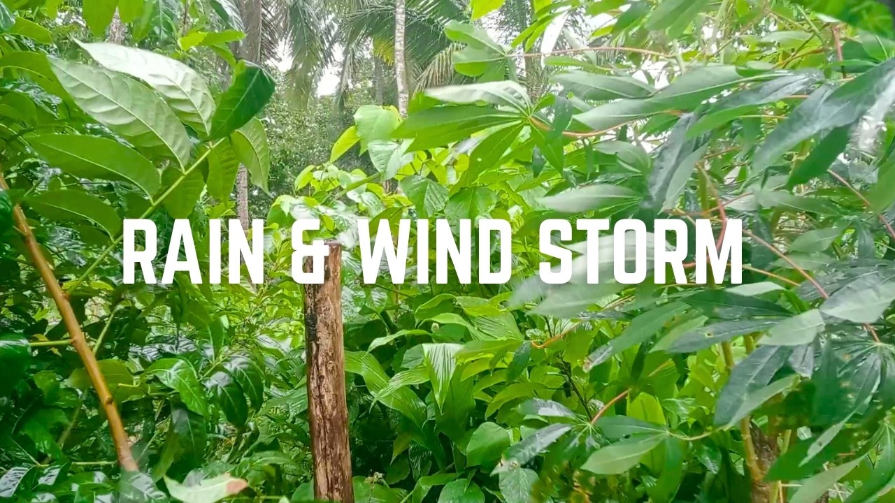 2 Hours Tropical Rainforest Rain Sounds🌧️Deep Sleep, Study, Relaxation | Rain on Green Jungle Leaves