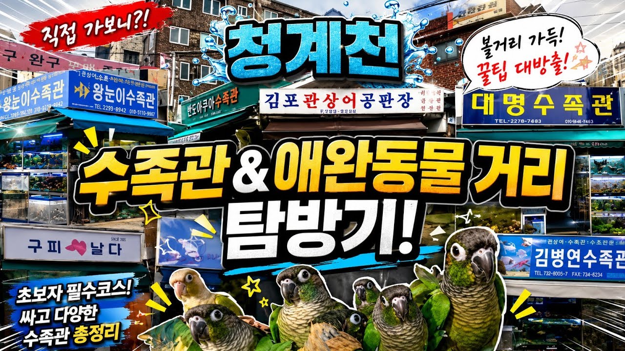 청계천 수족관&애완동물 거리 탐방기