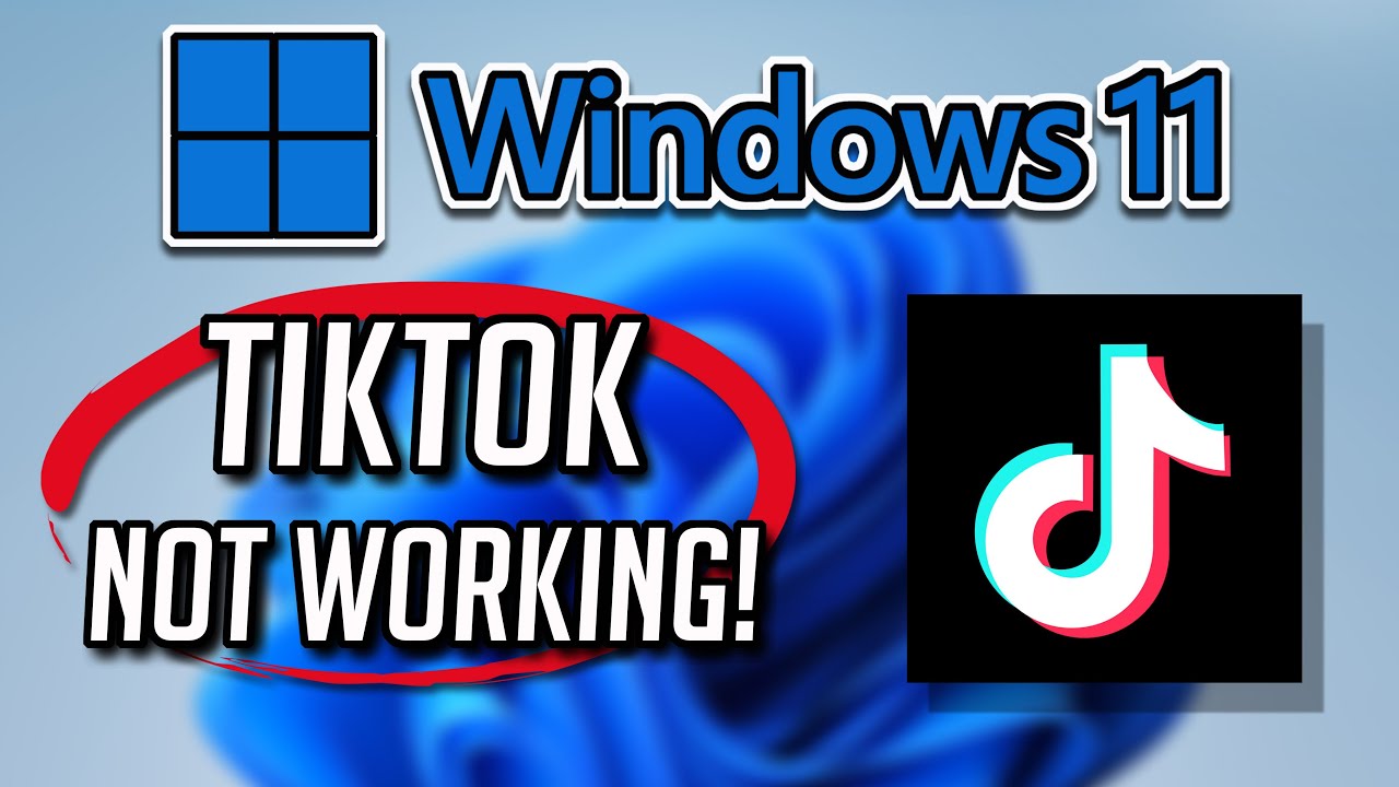TikTok App Not Working in Windows 11/10 Fix - [Tutorial]