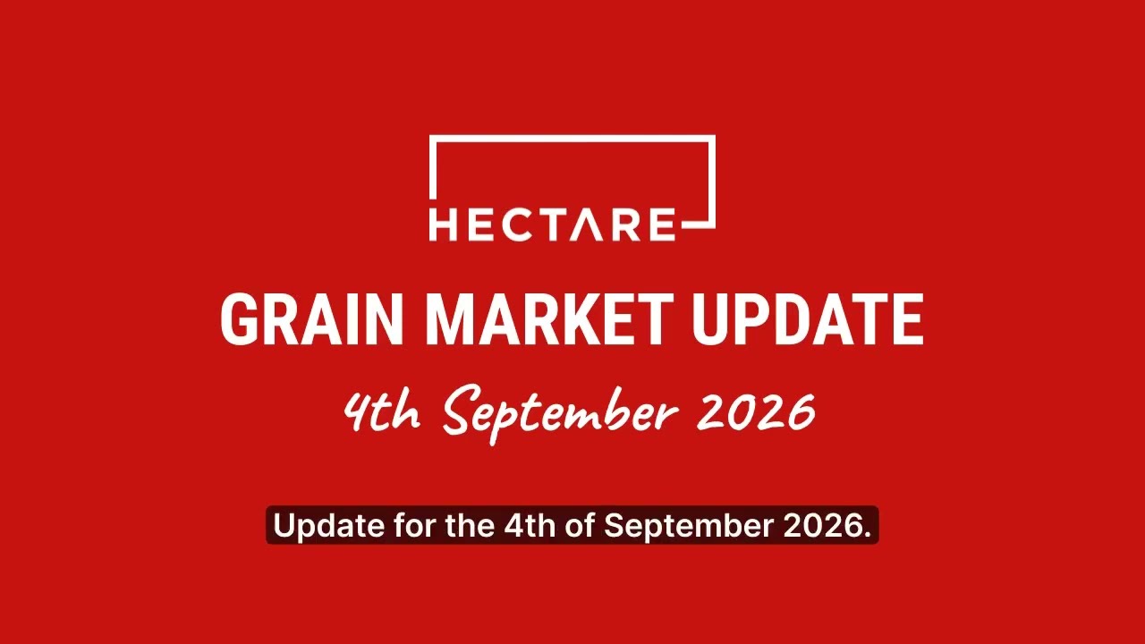 Grain Market Update (4 September 2026)