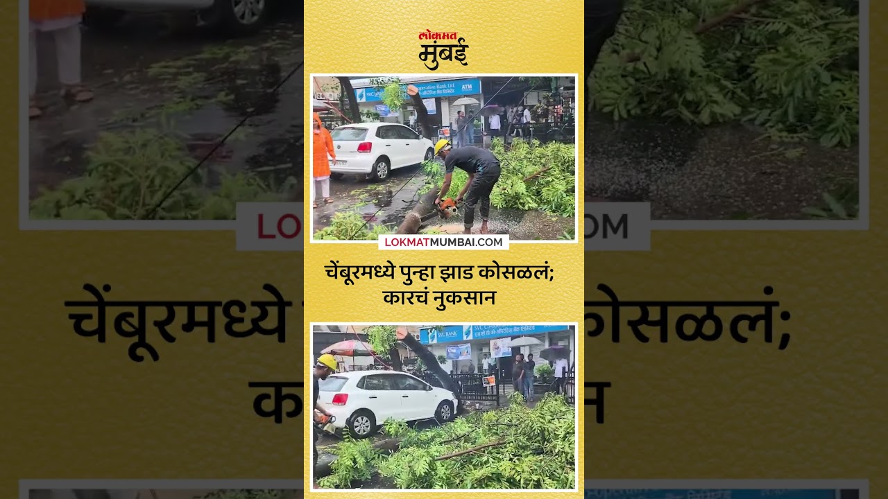 Tree fell again in Chembur; Car damaged Tree Fell in Chembur, Mumbai