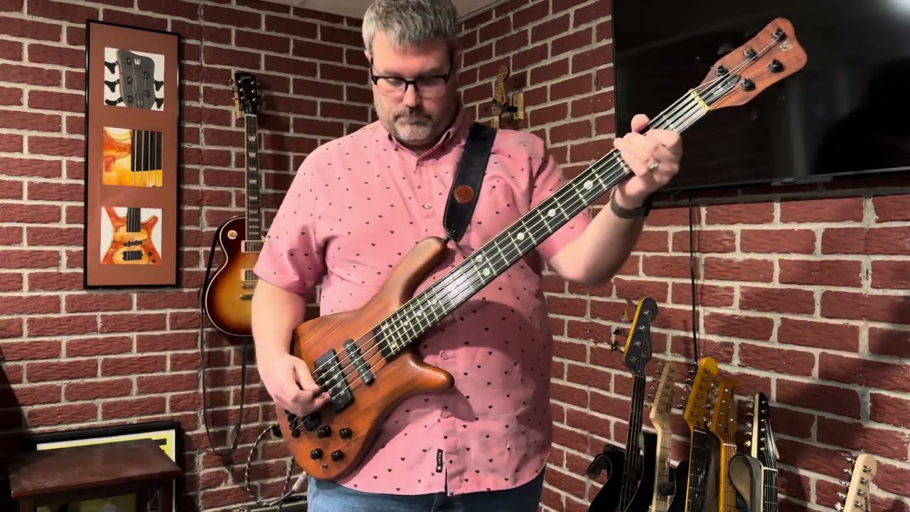 Drunken Birds - Cursive bass cover