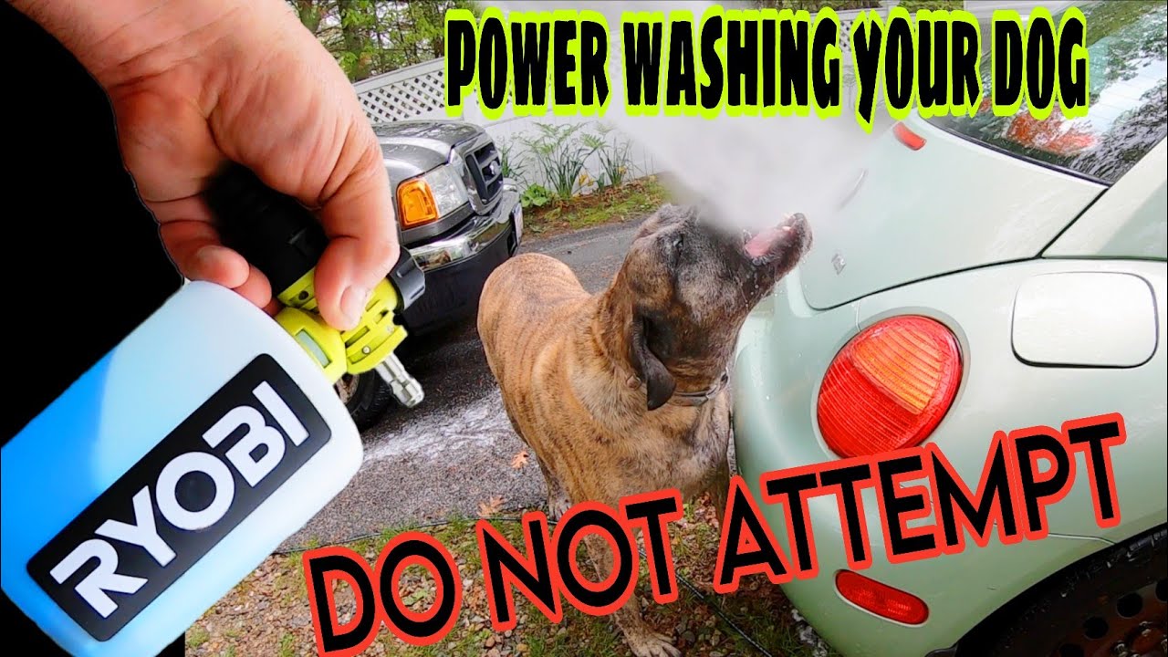NEW Ryobi Automotive Pressure Washer