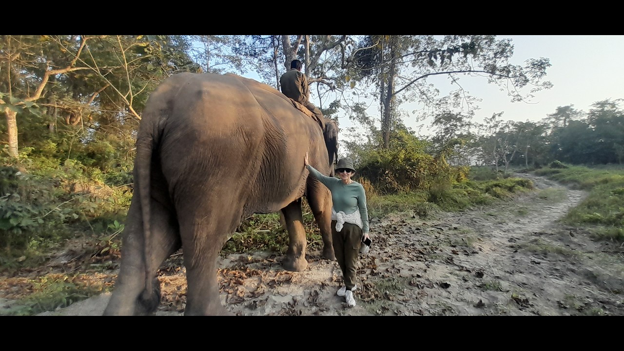 Tiger Tops and the Chitwan.#travel #nepal #chitwan 