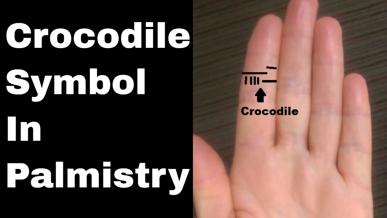 Indian Palmistry Symbols: The Crocodile Sign and Happiness