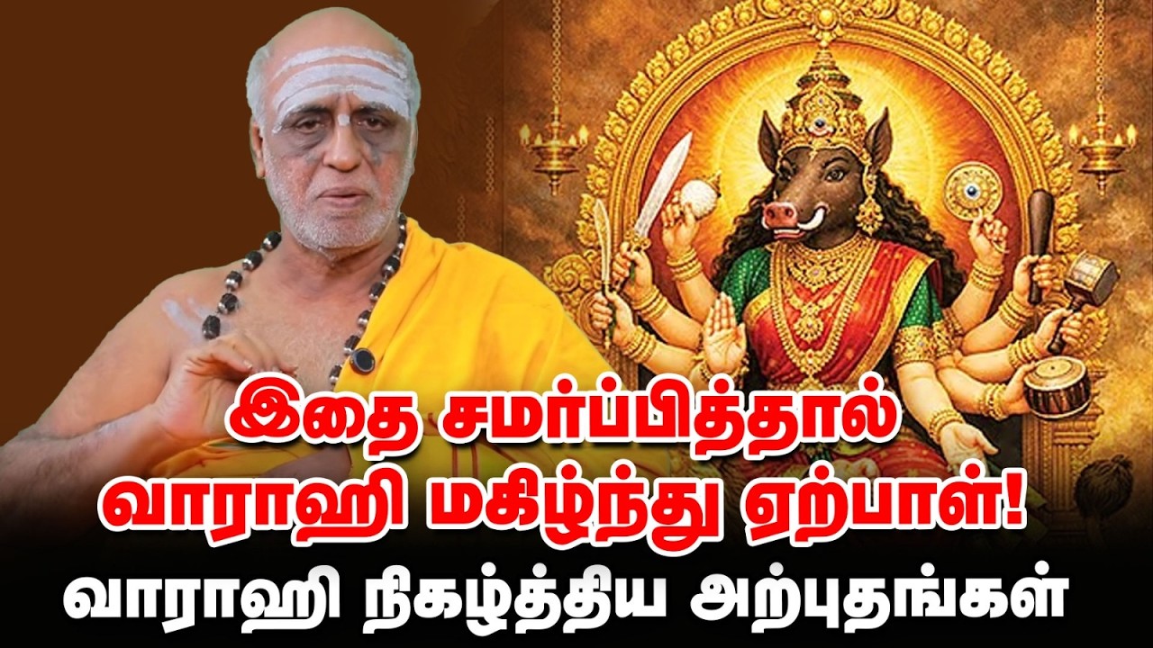 Vaarahi Amman | ஊமத்தம் பூ கொண்டு அன்னை வாராஹியை வழிபட்டால்... | வாராஹி மைந்தன்