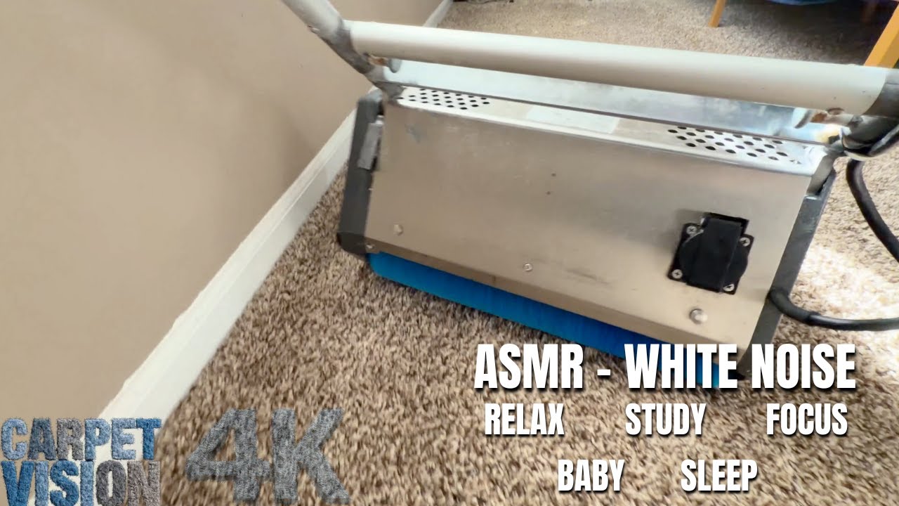 POV Carpet Cleaning | Deep Soil Extraction 🫧 Sleep Now