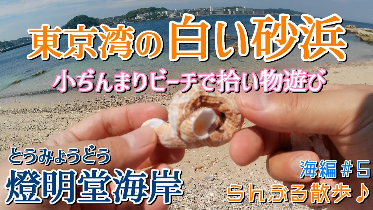 ここ本当に東京湾？　燈明堂海岸はコバルトブルーの海と白い砂浜がある超レアな穴場スポット