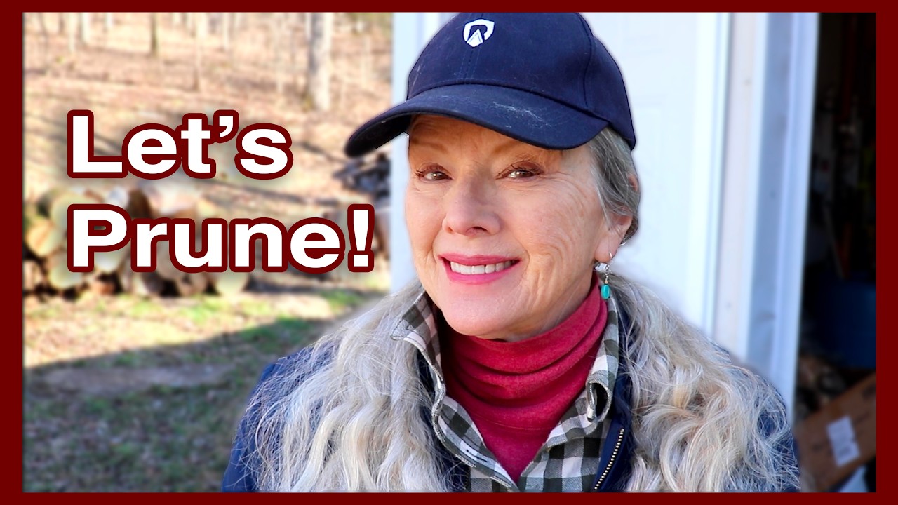 #pruning Fruit Trees Part 1 (finally doing it the right way!)