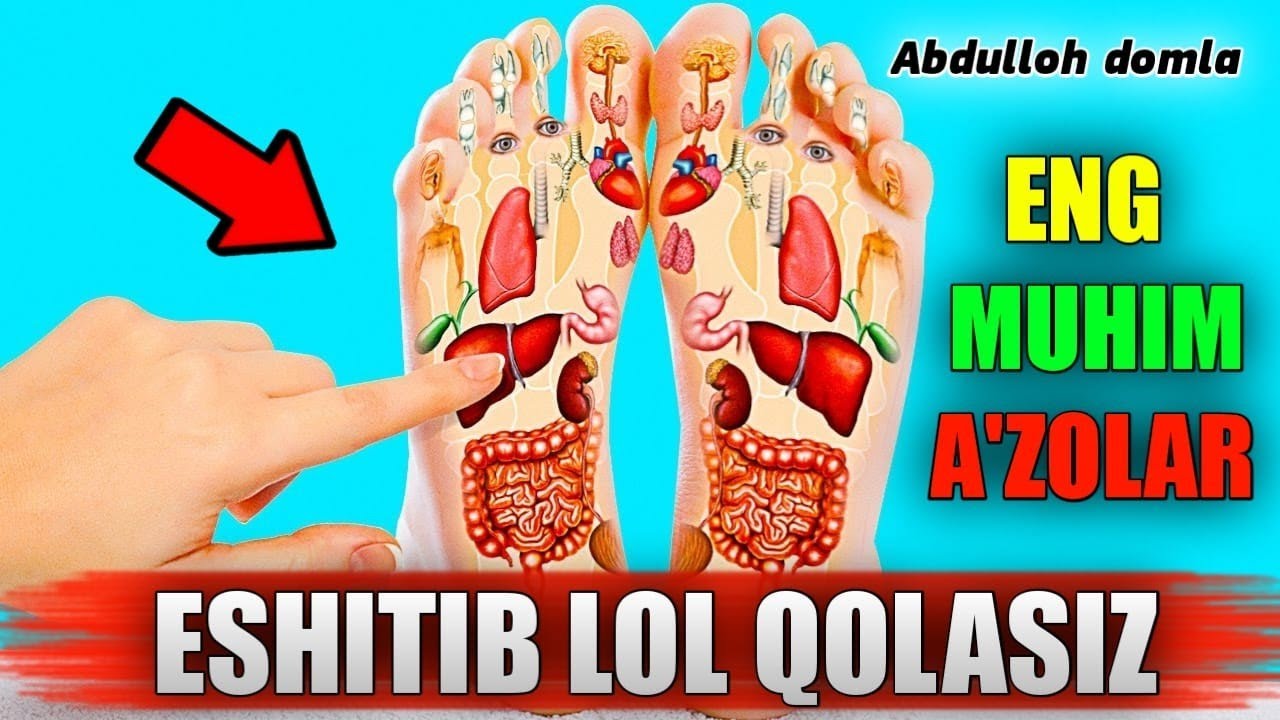 Инсон кўра олмайдиган мухим аъзолар! ~Абдуллох Домла 2022~Abdulloh Domla 2022 #abdullohdomla
