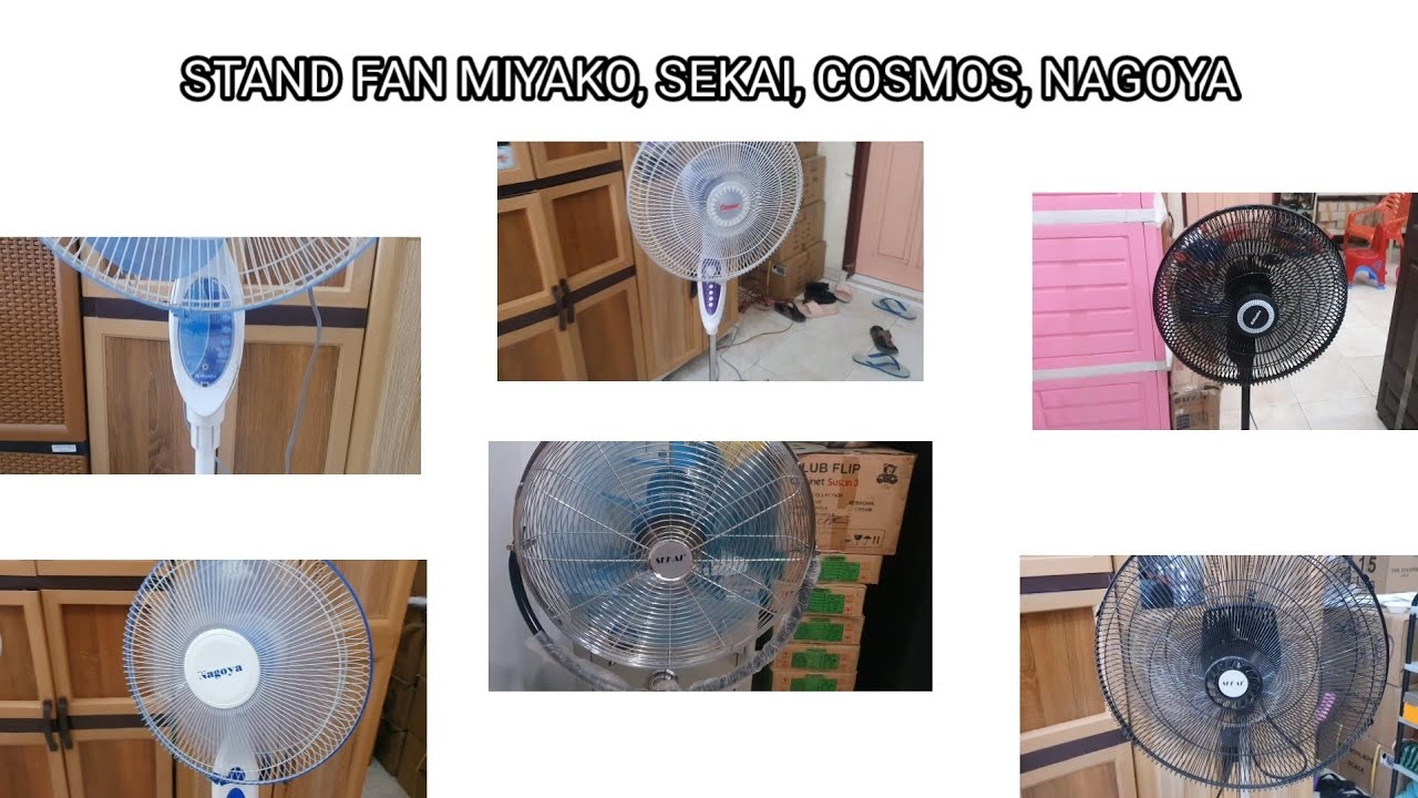 STAND FAN MIYAKO, SEKAI, COSMOS, NAGOYA
