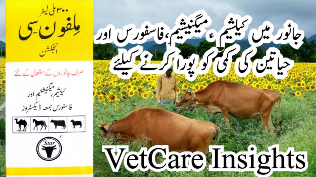milfone c, #milfone d inj of calcium, magnesium #star ملفون سی کیلشیم،میگنیشیم،فاسفورس،بمعہ ڈیکسٹرز،