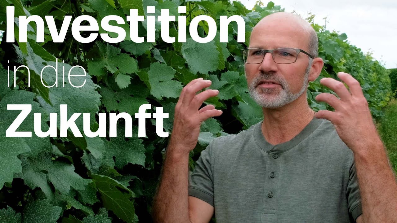 Mit resistenten Rebsorten in die Zukunft: Das Delinat-Weingut Hirschhof in Rheinhessen