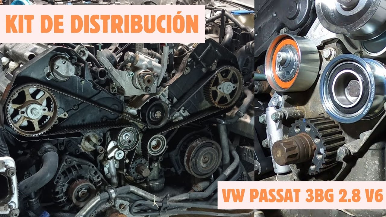 Passat 3BG 2.8 V6 30V - Cambio de kit de distribución. Proceso completo. Todos los pares de apriete