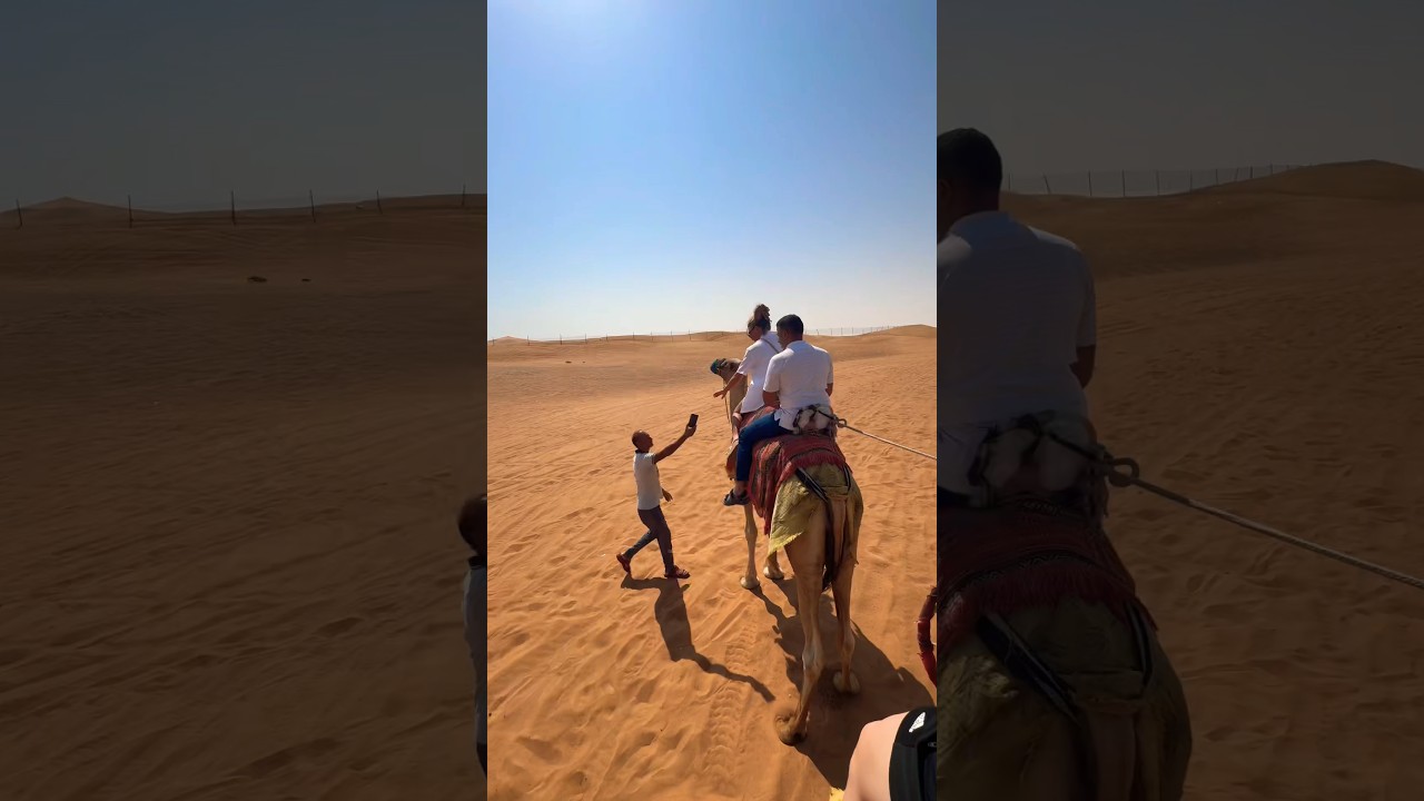 Desert camel ride 🐫 is an amazing experience #dubai #explore #outdoors #adventure #animals #travel