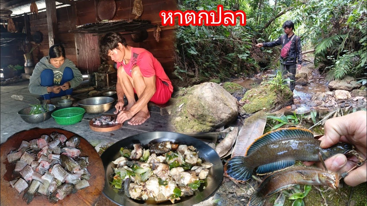 หาตกปลาตามน้ำห้วย แล้วกลับมาทำกับข้าวที่บ้านสู่ลูกเมียกิน หมกหม้อปลาช่อน-บ่าวยืง