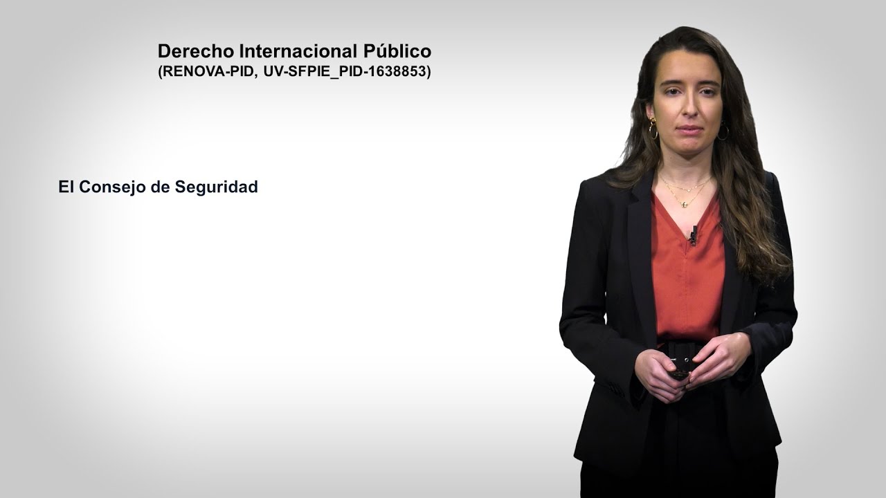 El Consejo de Seguridad de la Organización de las Naciones Unidas