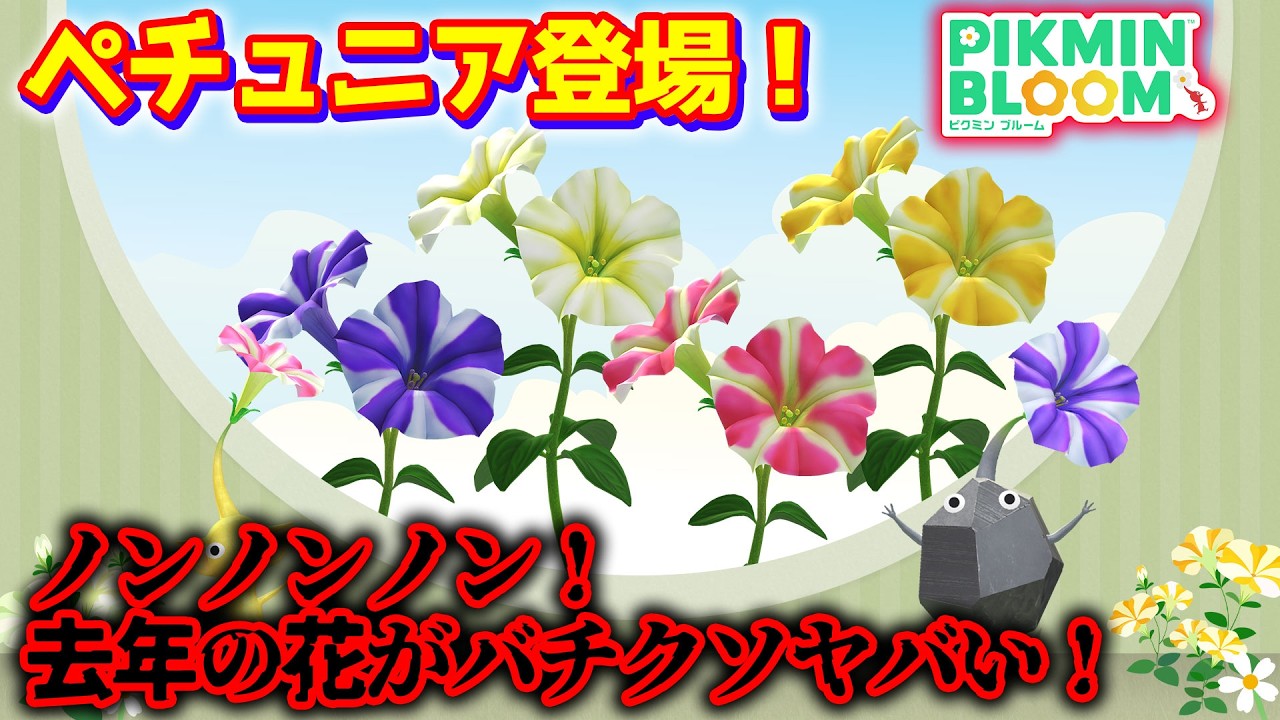 【ピクミンブルーム】ペチュニア登場！ノンノンノン！去年の花がバチクソヤバい！【Pikmin Bloom】