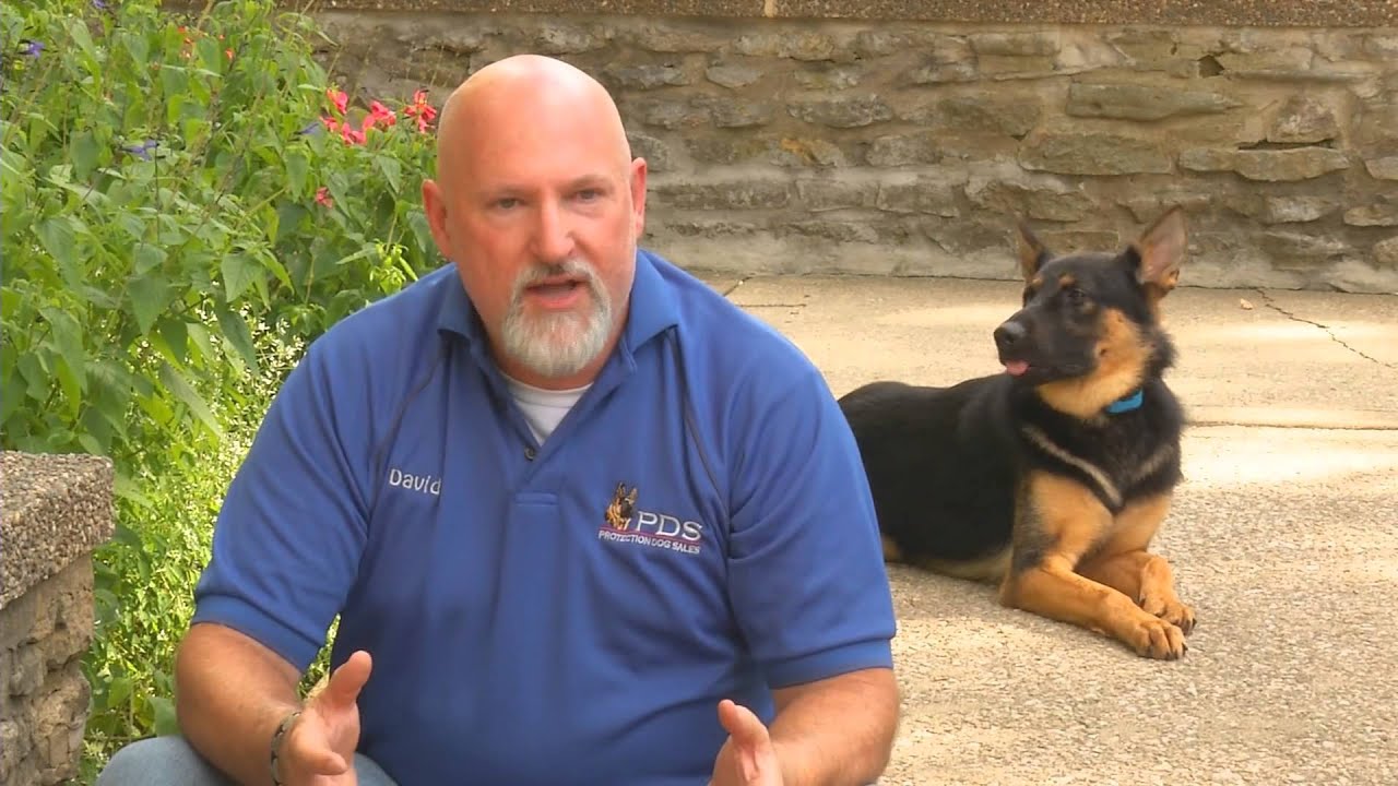 Video Brochure For the 