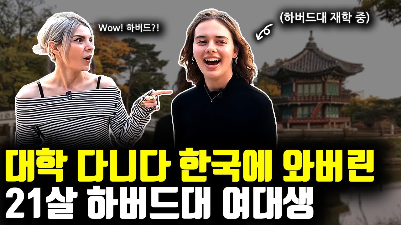 하버드를 다니는 북미권 여성들이 한국을 다시 찾는 결정적인 이유라고 하네요