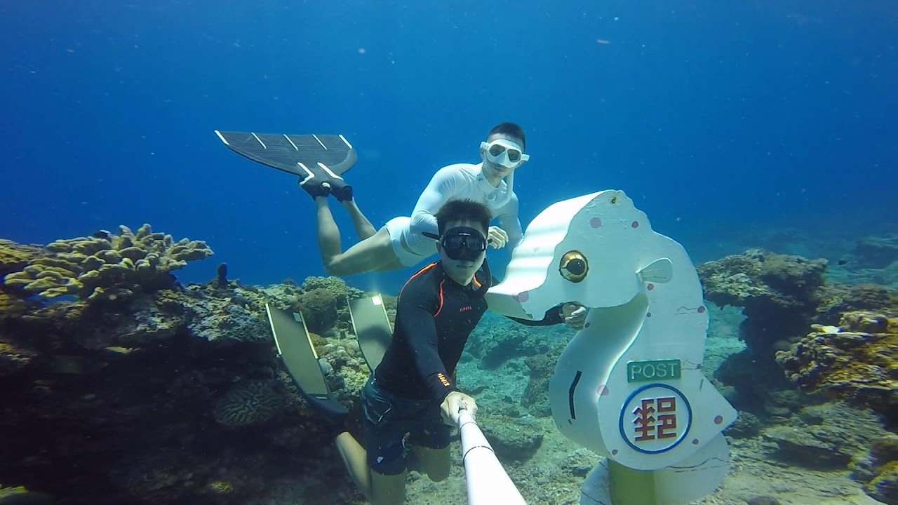 鋼鐵礁+海中郵筒 | WA DIVING🐸綠島潛水FreeDiving