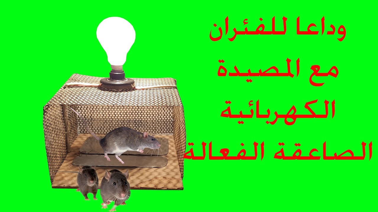 وداعا للفئران مع المصيدة الكهربائية الصاعقة لجميع الفئران وكيفية تصنيعها فى المنزل