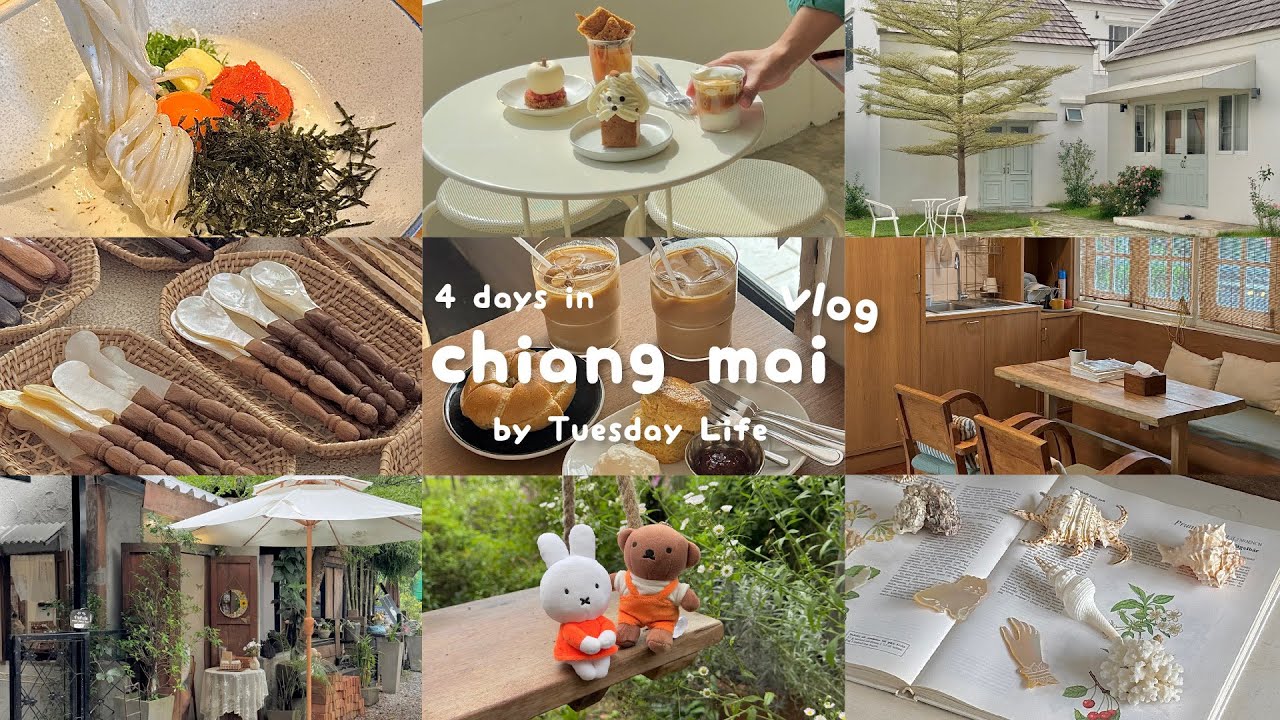 chiang mai vlog ✦ เชียงใหม่ฮีลใจ 4 วัน ฉบับคนติดฝน | พิกัดคาเฟ่ ที่พัก ร้านอาหาร ฉ่ำๆ