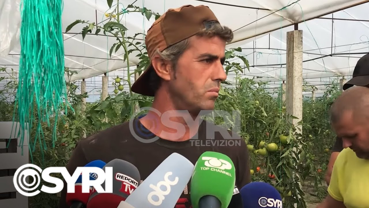 Fermerët e Jagodinës në protestë: Po falimentojmë, nuk ka treg shitje